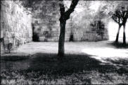 palestinian art photos